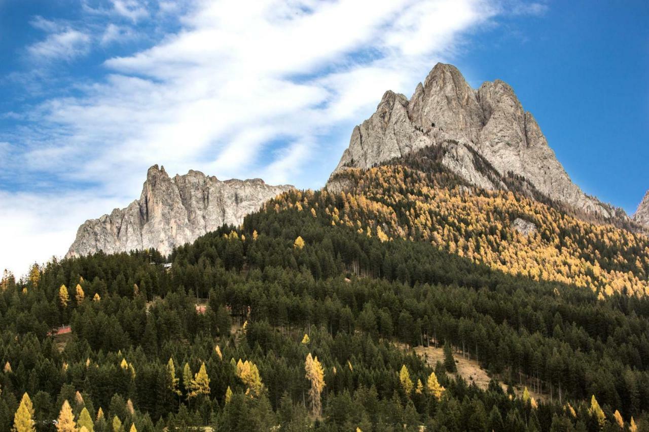 Wellness Fassa Apartment Pozza di Fassa Luaran gambar
